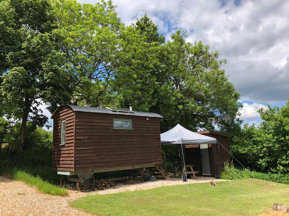 The Shepherds Hut At The Shippen, Tiphayes Гонитон Экстерьер фото